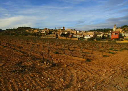 La Terra Alta i el Priorat